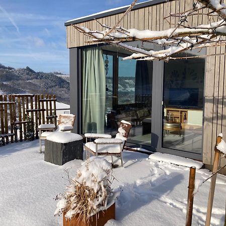Moselhoch Apartment Klusserath Екстериор снимка
