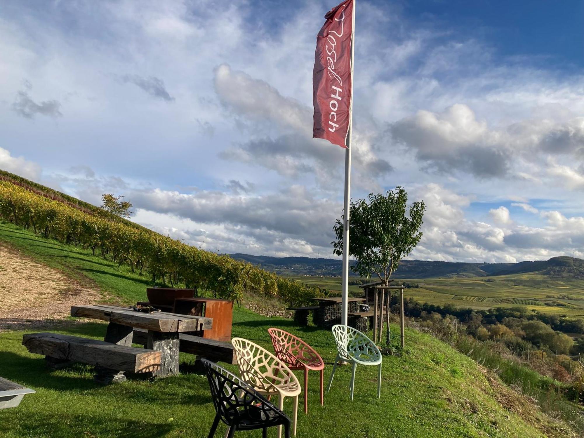 Moselhoch Apartment Klusserath Екстериор снимка